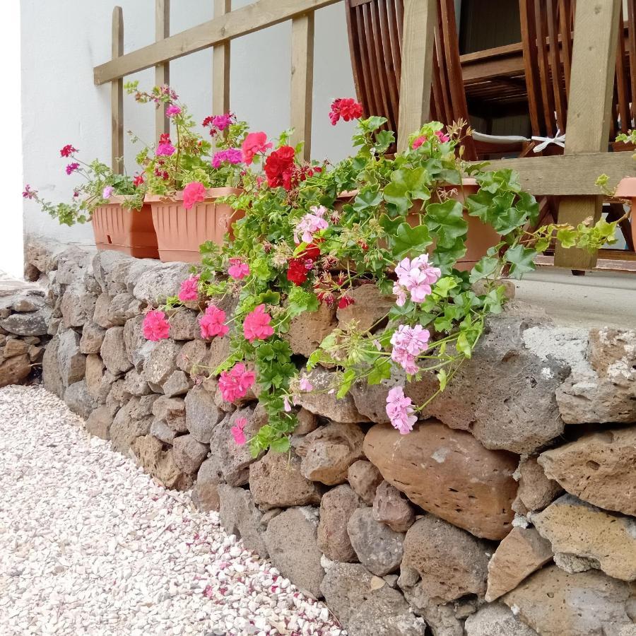 Casa Di Campagna Galtelli Ngoại thất bức ảnh